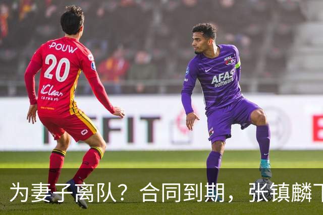 为妻子离队？合同到期，张镇麟下家4选1，广东2队有机会