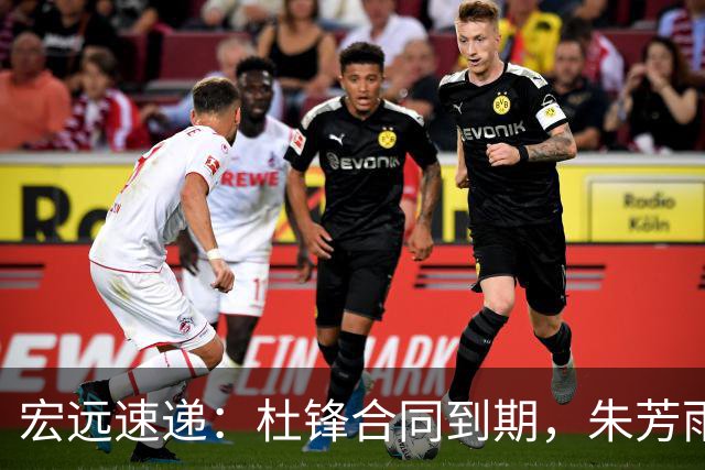 宏远速递：杜锋合同到期，朱芳雨决策新动向，胡明轩开始特训
