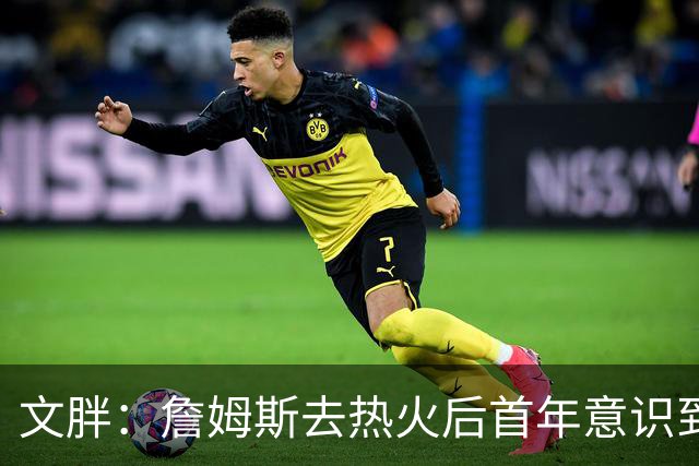 文胖：詹姆斯去热火后首年意识到很多球迷站在了他的对立面