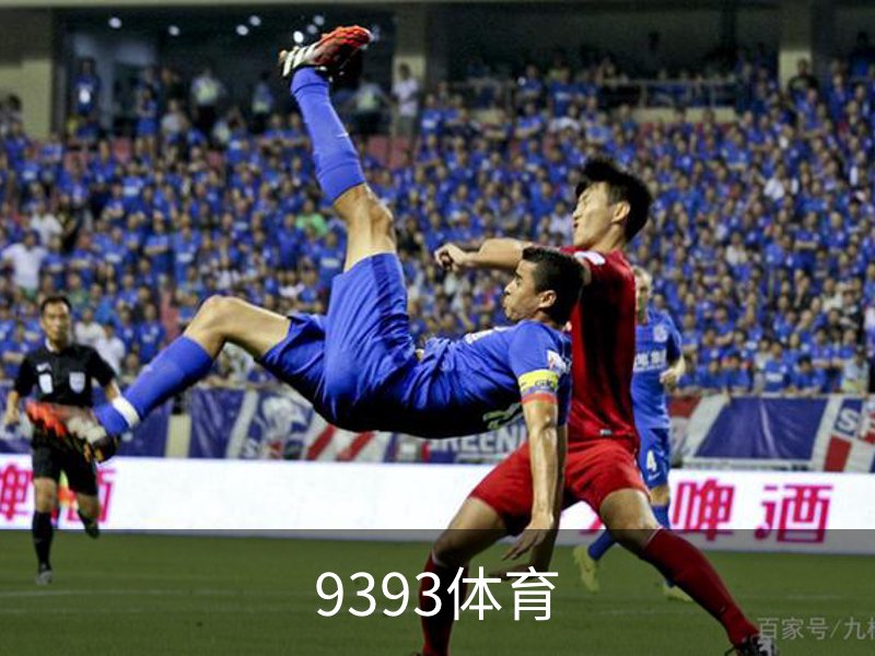 了解9393体育
